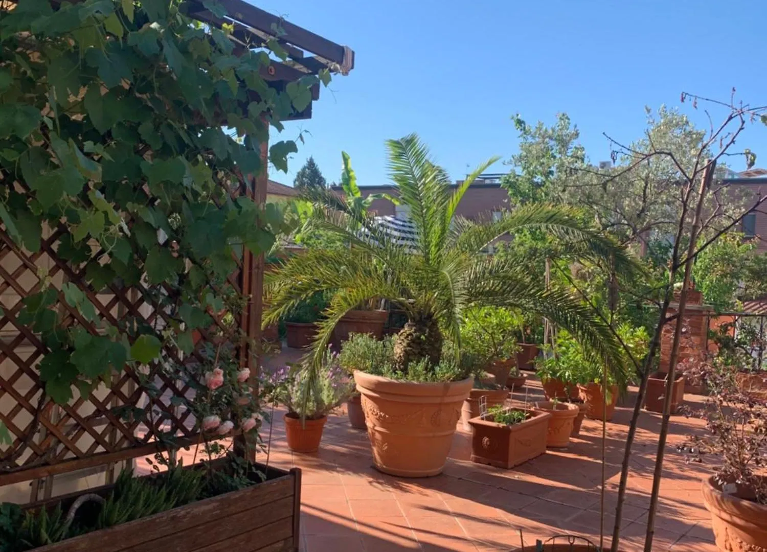 Ferienwohnung La Terrazza Da Ernestina Lucca